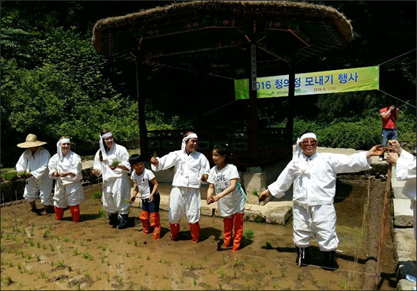 2016 창덕궁 모내기 행사