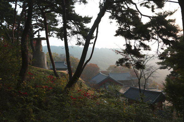 뒤에서 본 대조사와 미륵불