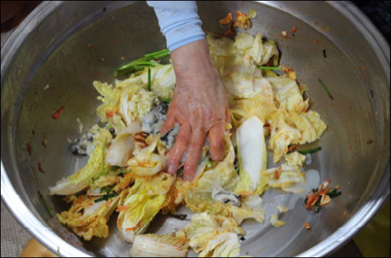 김치 담그는 모습 1