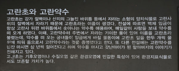 고란사 극락전 뒤편에는 바위 틈에서 약수가 나오는데, 그 약수에 대한 설명