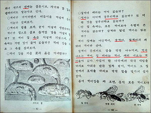 우리한글박물관 김상석 관장 도움 / (사)토박이말바라기 이창수