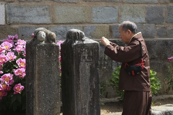 괘불대 위 특이한 동물상을 사진으로 담는 포교사