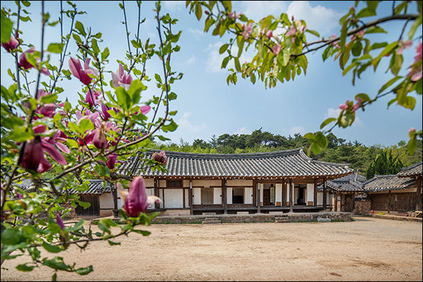 정재종택 전경(안동시 임동면)