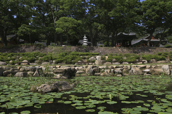 연지에서 본 공림사