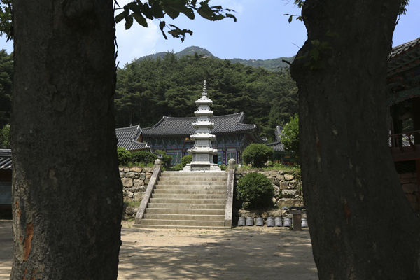 나무사이로 본 공림사