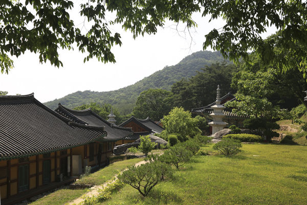 승탑 앞에서 본 공림사의 모습