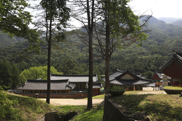 구룡사 나한전에서 본 전경