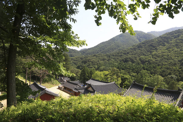 구룡사 뒷편 언덕에서 본 전경