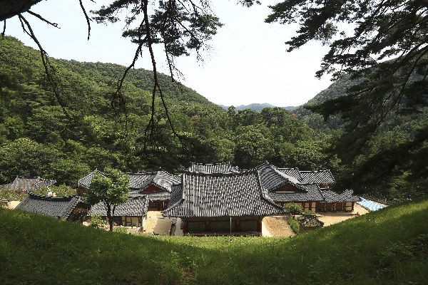 대웅전 뒷편 언덕에서 본 김룡사 전경, 가운데 큰 건물이 대웅전