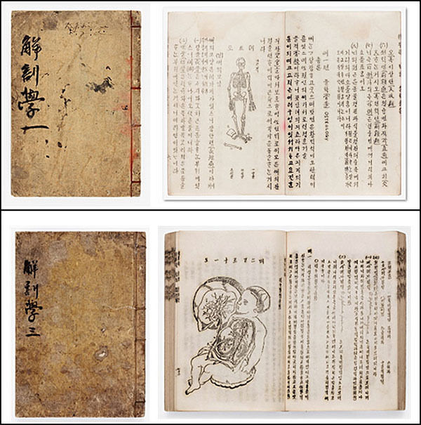 해부학解剖學 권1-3 / 1906년 / 국립한글박물관 소장 / 22.6(세로)×16.0(가로)cm