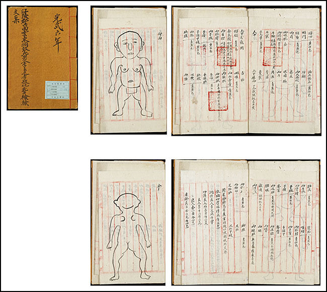 이운지의 시장(屍帳, 강릉군 내면 운동동 치사 남인 이운지 이경화 시신 검시 문안) / 1902년 / 서울대 규장각한국학연구원 소장 / 28.5(세로)x18.0(가로)cm