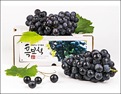 국산 포도 ‘흑보석’