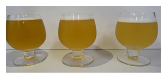 호품보리맥주, 50%쌀맥주, 70%쌀맥주(왼쪽부터)