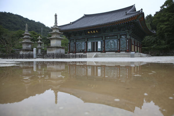비가 와 마당에 고인 물에 비친 대적광전과 삼층석탑