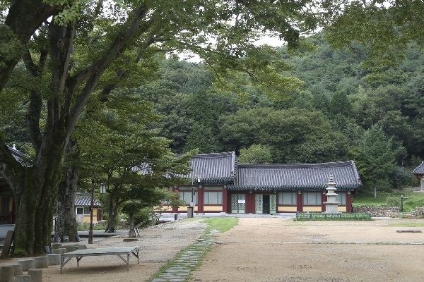 경내 모습, 삼층석탑 앞에는 유물전시관