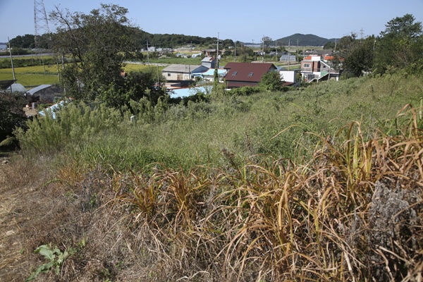 조선조 10번째 왕 연산군의 유배지로 추정되는 교동읍성 근처의 언덕, 아무런 자취도 없이 빈터만 남았다. 초가집 주춧돌조차 없어, 쫓겨난 군왕의 최후를 짐작해본다.