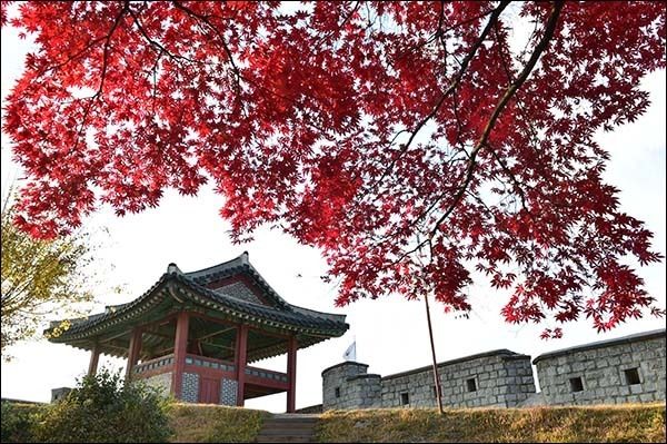 수원 아름다운 단풍길 후보, 수원 화성 성 곽길 단풍