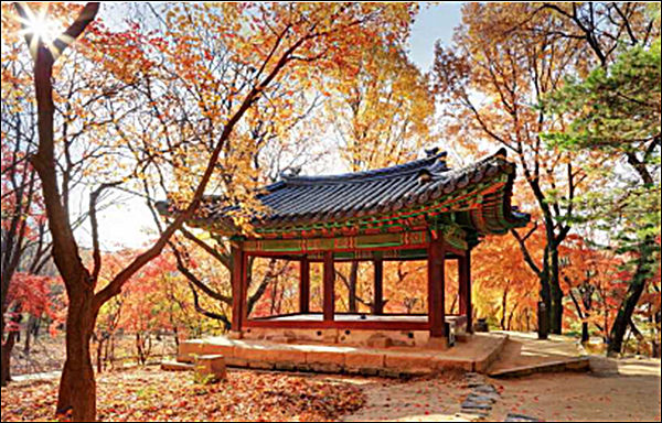 창경궁 관덕정 가을 전경