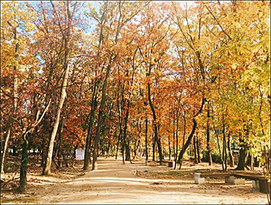 <경기 고양시 서오릉>