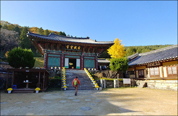 천년고찰 다솔사 대웅전(적멸보궁) .뒷편 은행나무는 황금빛으로 물들었다.