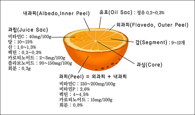 감귤의 부위별 성분과 함량