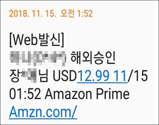 나라밖 부정결제와 관련된 결제 알림 문자 메시지