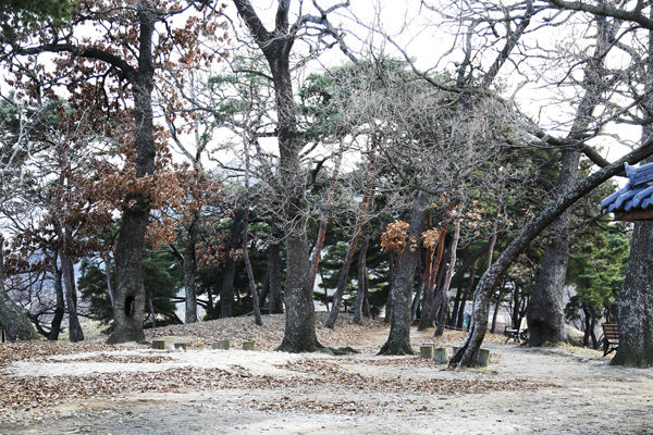 마을 앞 동산