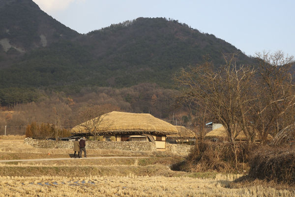 마을 뒷쪽의 초가집, 뒷산과 잘 어울린다.