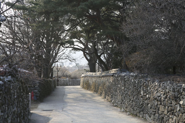 마을 안 돌담길