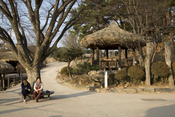 마을 앞 정자나무 아래에서 오가는 손님들을 반기는 마을 할머니들