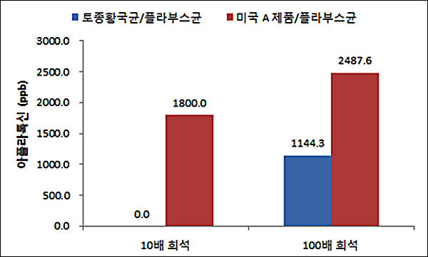 플라부스 균에 미국서 시판하고 있는 A 제품과 토종황국균을 넣었을 때의 아플라톡신이 만들어지는 비율