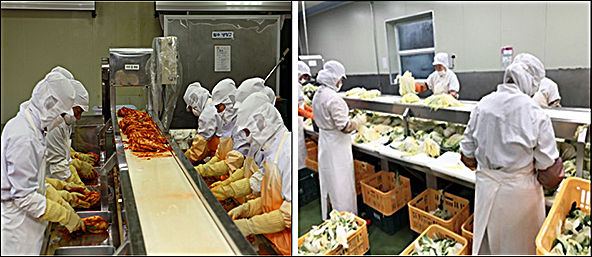 김치제조 사진