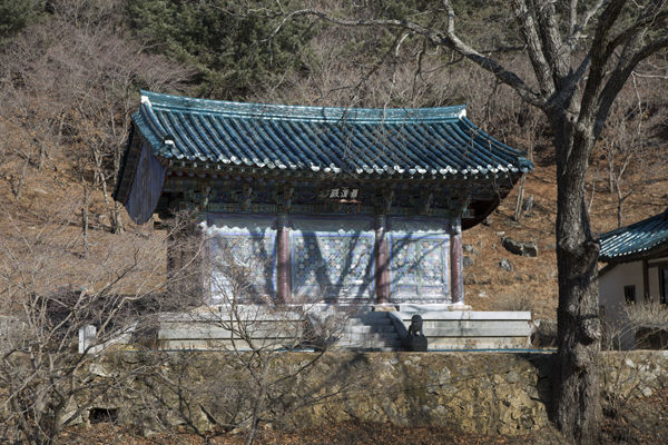 나한전