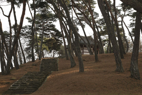 송강 정철이 1584년 사직하고 물러나 머물렀던 곳에 그의 후손들이 송강을 기려 다시 지은 정자. 현재 정자는 1770년 세운 것으로 송강은 이곳에 머물면서 임금을 그리며 사미인곡, 속미인곡을 지었다