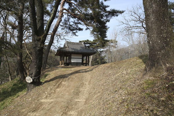 독수정 전경