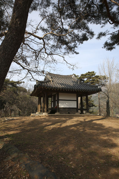독수정