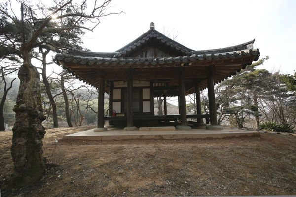 독수정 모습