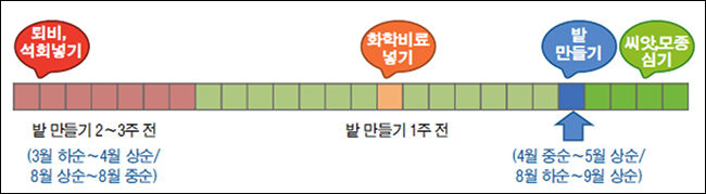 밑거름 주기
