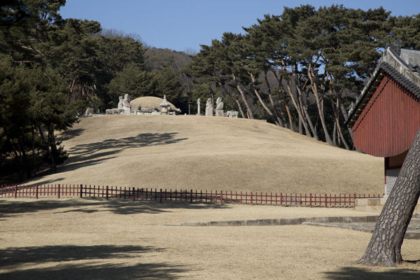 정자각 옆에서 본 태릉