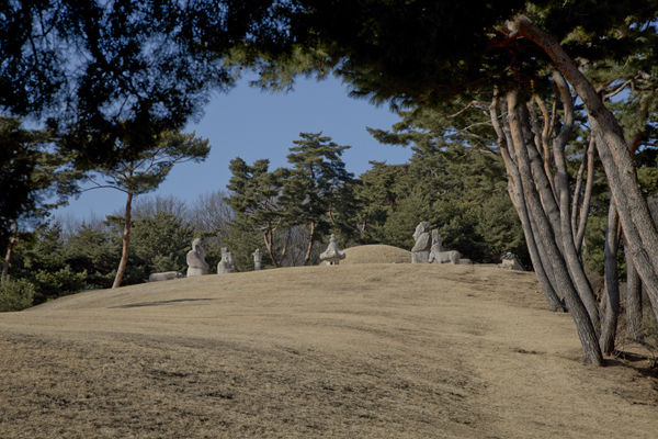 정자각 옆면에서 본 태릉