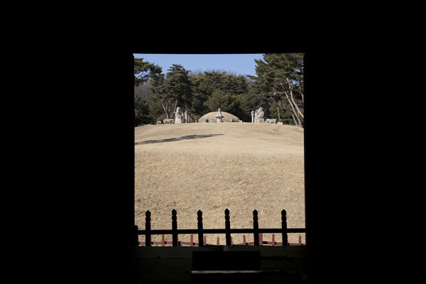 정자각 열린 문으로 본 능상