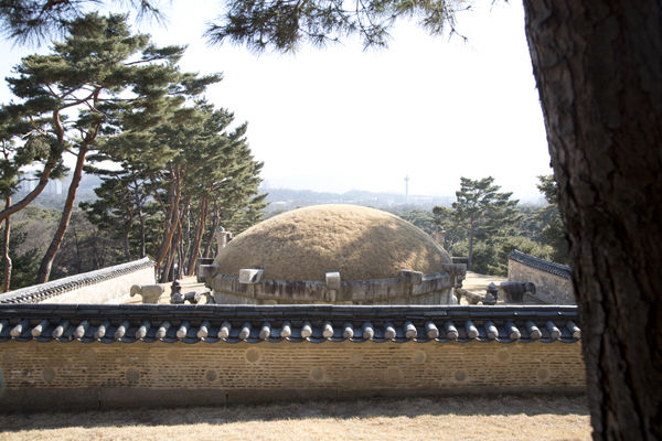 곡담 너머로 태릉이 보인다.