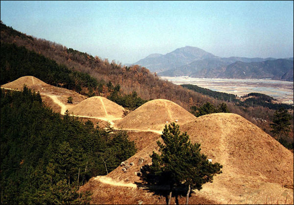 고령 지산동 고분군 전경