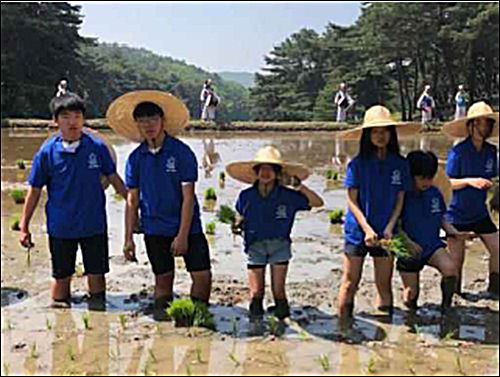 위토 모내기 활동