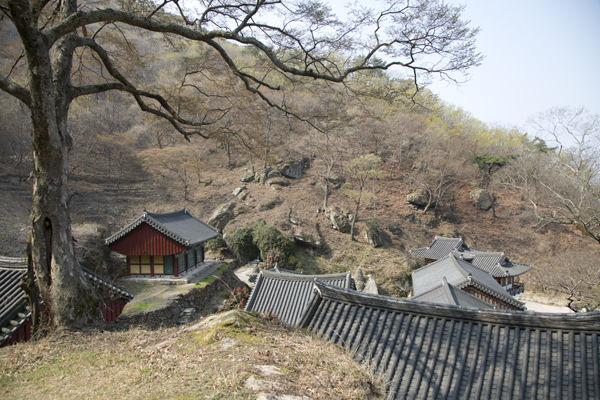 뒷 동산에서 본 수도암 전경