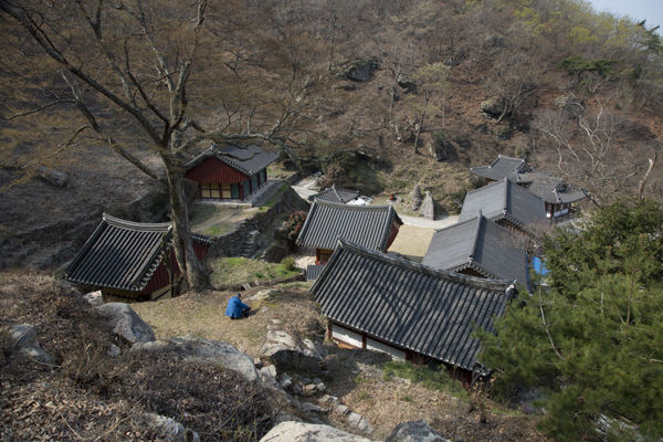 뒷산에서 본 수도암 전체 전경