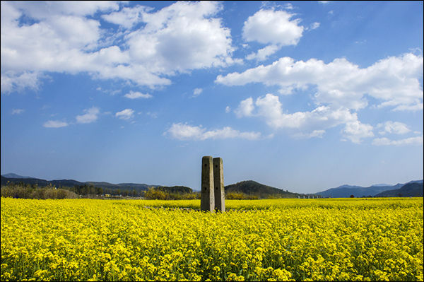 경주 분황사 당간지주, 공진미