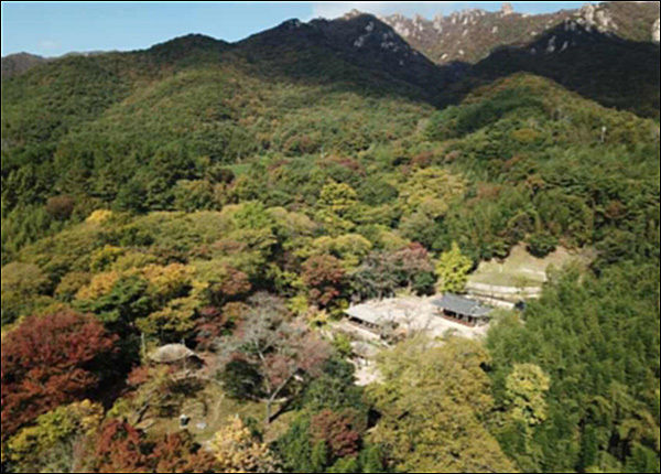 월출산 아래의 명승 제115호 강진 백운동 원림