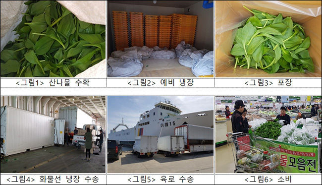 울릉도 산나물의 신선도 유지 유통 시스템 개선