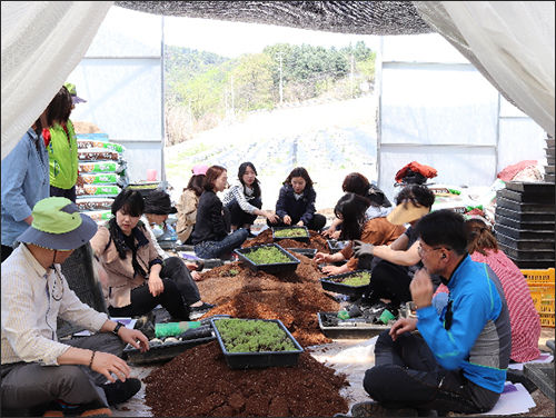‘산촌마을 가꾸기 행사’ 중 꽃모종 포트 작업
